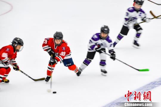 國際青少年アイスホッケーの大會(huì)が三亜市で開催　海南省