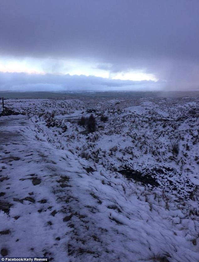 飼い主たちが投稿した「犬はどこへ行った？」寫真がネットで話題に