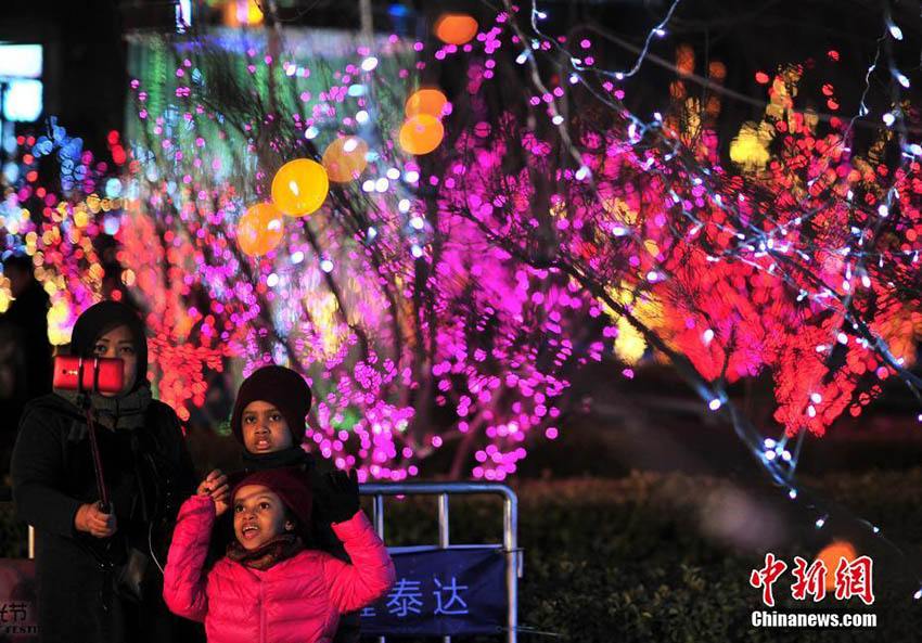 天津泰達イルミネーションフェスティバルが開幕