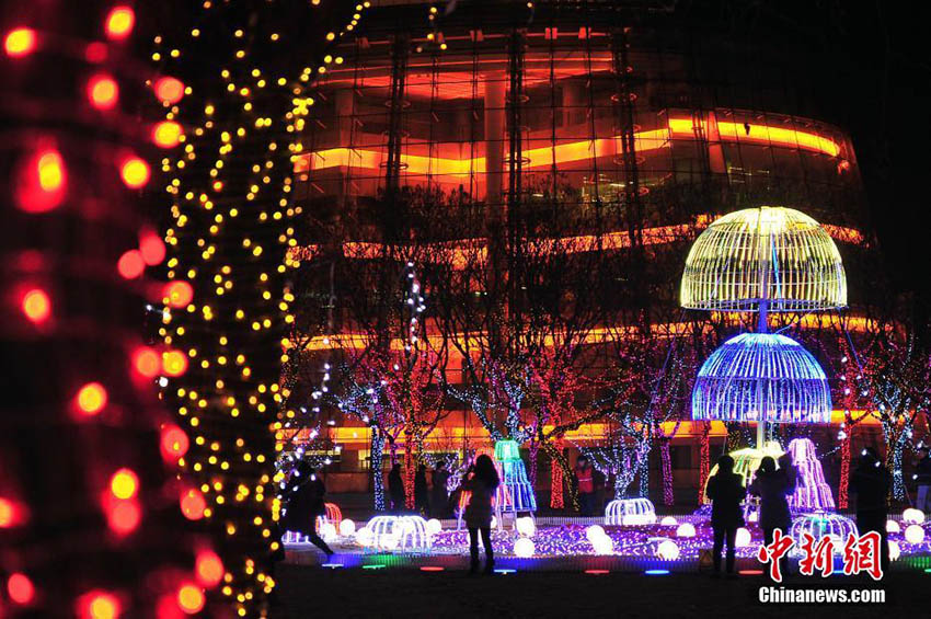 天津泰達(dá)イルミネーションフェスティバルが開幕