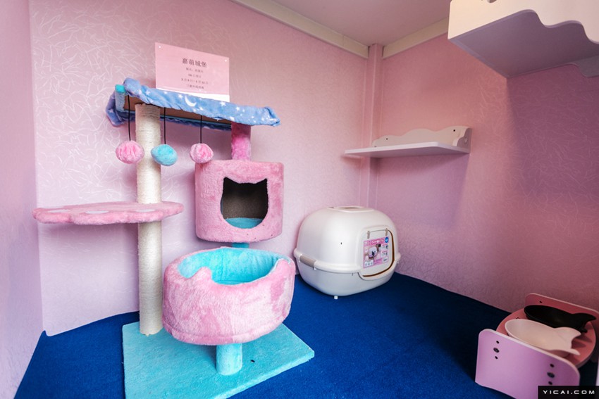 春節(jié)のペットホテルが大賑わい　手厚いサービスで安心