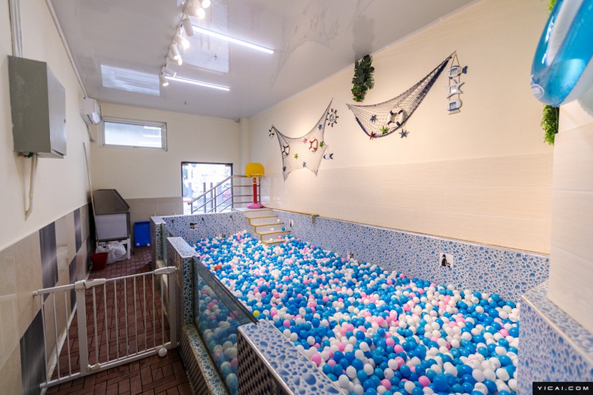 春節(jié)のペットホテルが大賑わい　手厚いサービスで安心