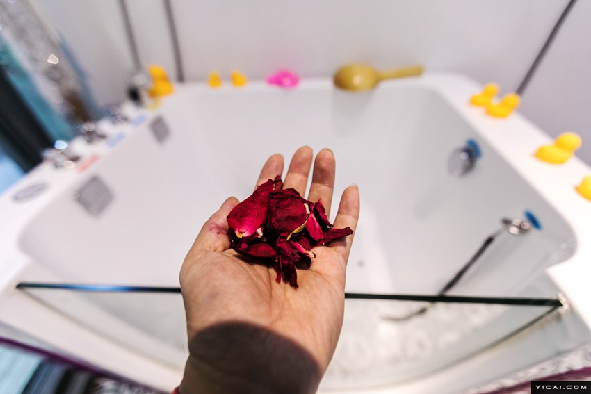 春節(jié)のペットホテルが大賑わい　手厚いサービスで安心