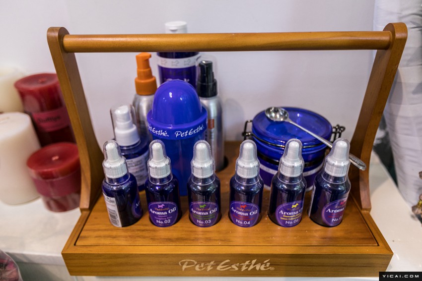 春節(jié)のペットホテルが大賑わい　手厚いサービスで安心