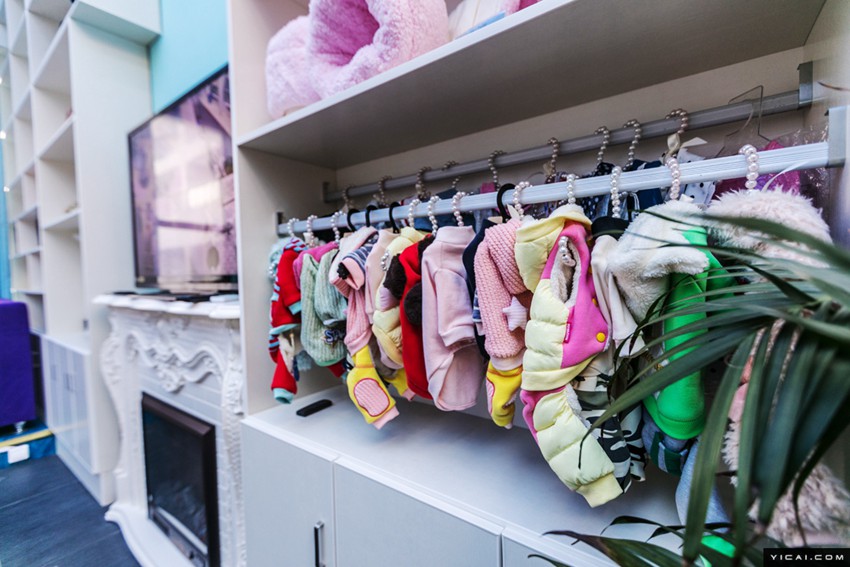 春節(jié)のペットホテルが大賑わい　手厚いサービスで安心