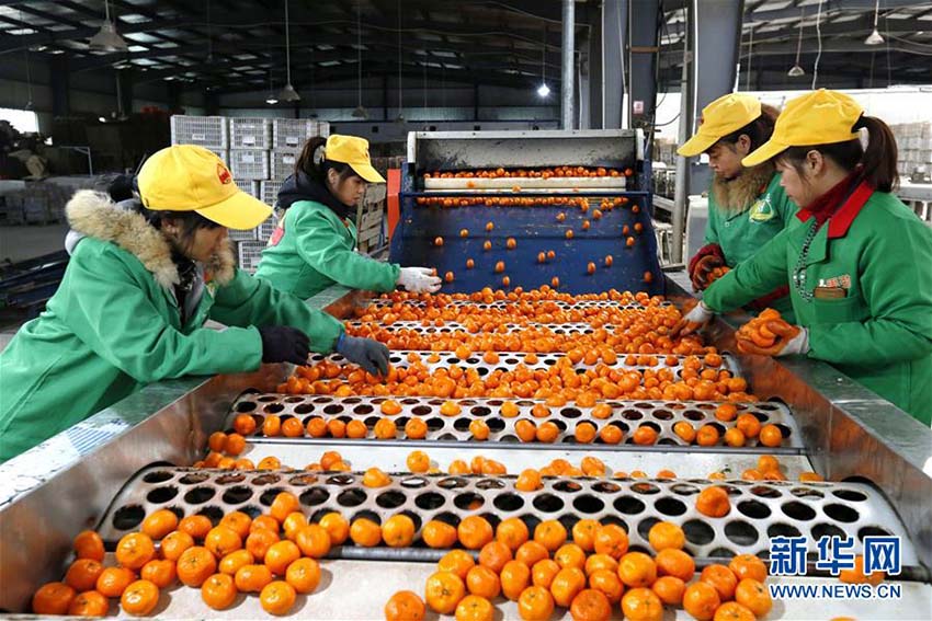 春節(jié)連休明け、各地で仕事初め