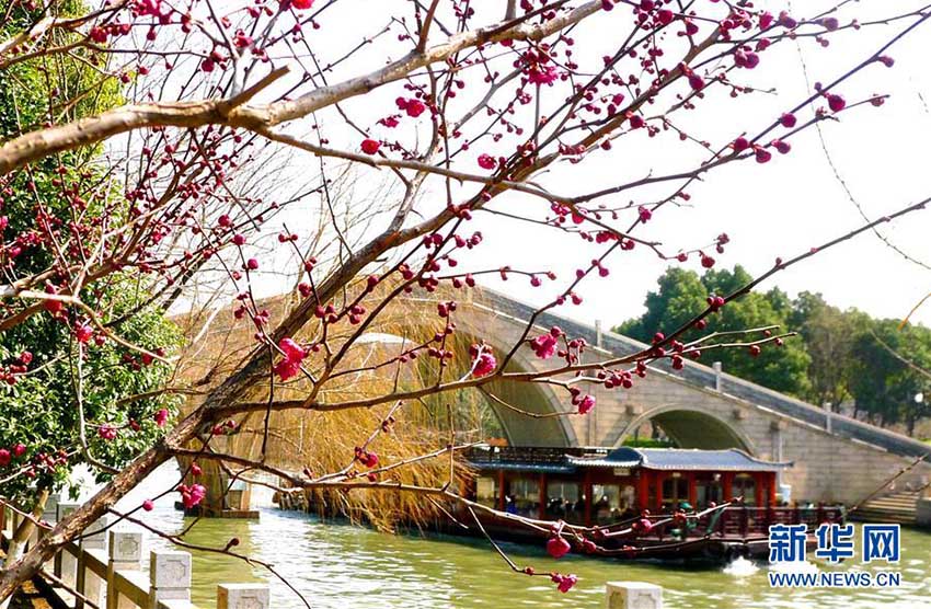 中國(guó)各地で好天続く、そこかしこに広がる春の景色