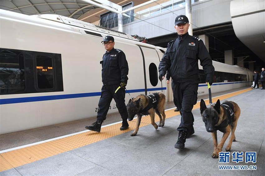 春運期間中の旅客の安全を守る　石家荘駅でパトロールにあたる警察犬