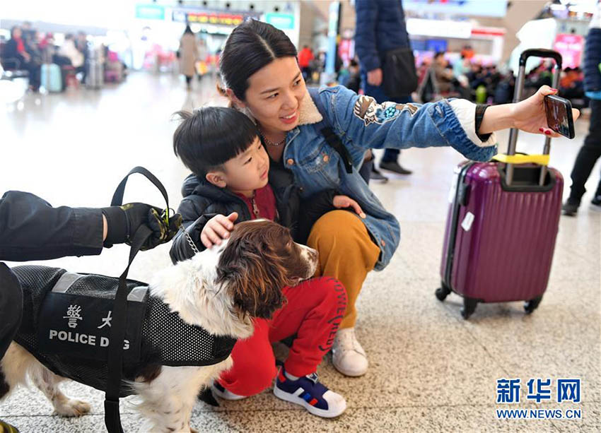 春運(yùn)期間中の旅客の安全を守る　石家荘駅でパトロールにあたる警察犬