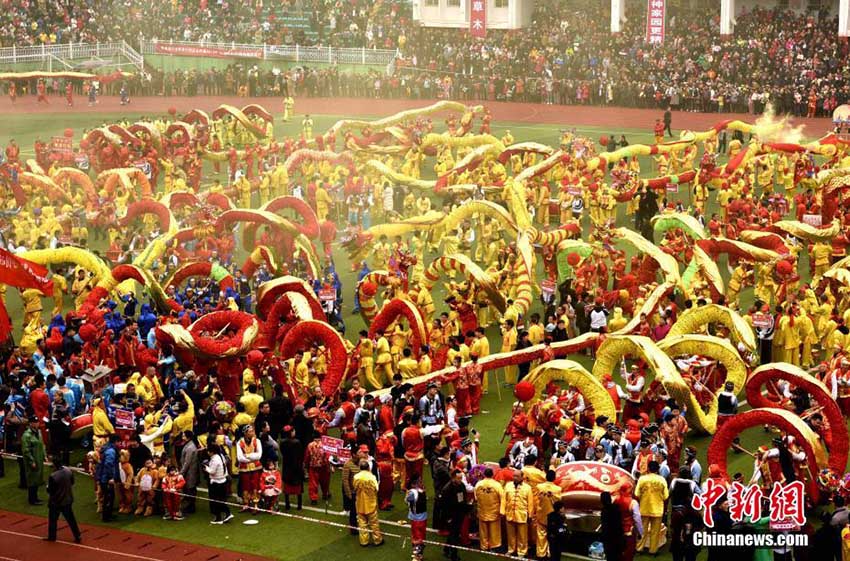 龍100體以上が見(jiàn)せる「コーラオ族毛龍節(jié)」のパフォーマンス　貴州省