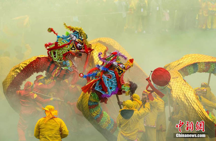 龍100體以上が見せる「コーラオ族毛龍節(jié)」のパフォーマンス　貴州省