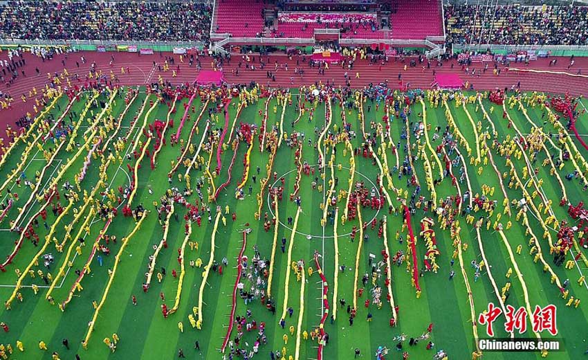 龍100體以上が見せる「コーラオ族毛龍節(jié)」のパフォーマンス　貴州省