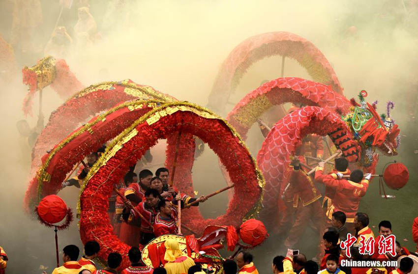 龍100體以上が見(jiàn)せる「コーラオ族毛龍節(jié)」のパフォーマンス　貴州省