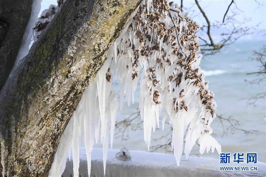 寒波到來(lái)で冬に逆戻り、氷柱に囲まれた湖畔　スイス