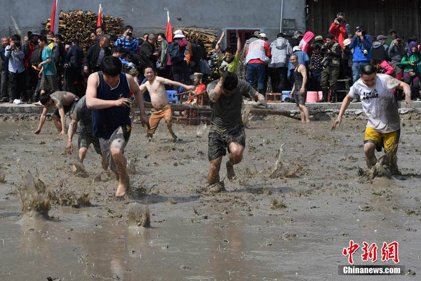五穀豊穣を祈り、泥の田んぼで行うイベント「鬧春田」　福建省