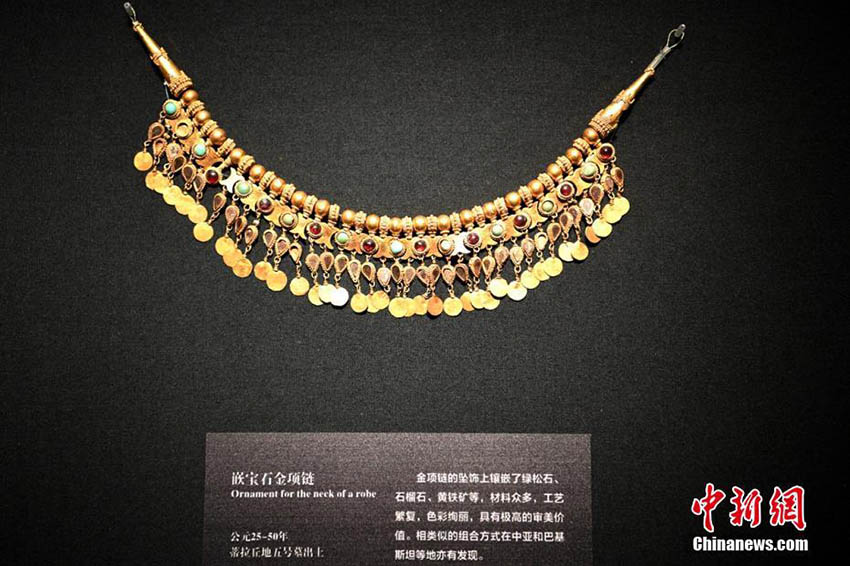 成都博物館でアフガニスタンの文化財を展示　來館者多數(shù)