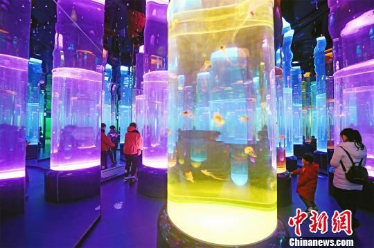 湖北省の海洋萌寵楽園がオープン　世界の30種類以上のクラゲを展示