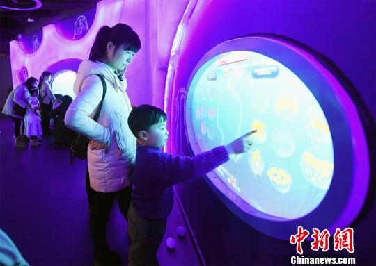 湖北省の海洋萌寵楽園がオープン　世界の30種類以上のクラゲを展示