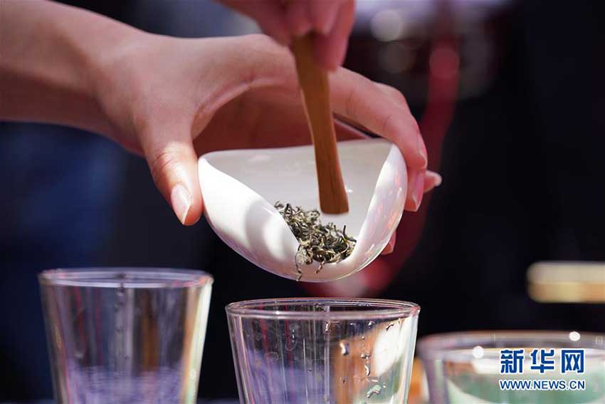 ヨルダンに響く中國(guó)伝統(tǒng)楽器の音色　「浙江文化フェスティバル」開(kāi)催