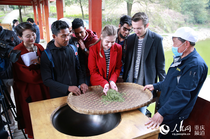 海外の友人が重慶で茶摘み　お茶作りの全てを?qū)Wぶ