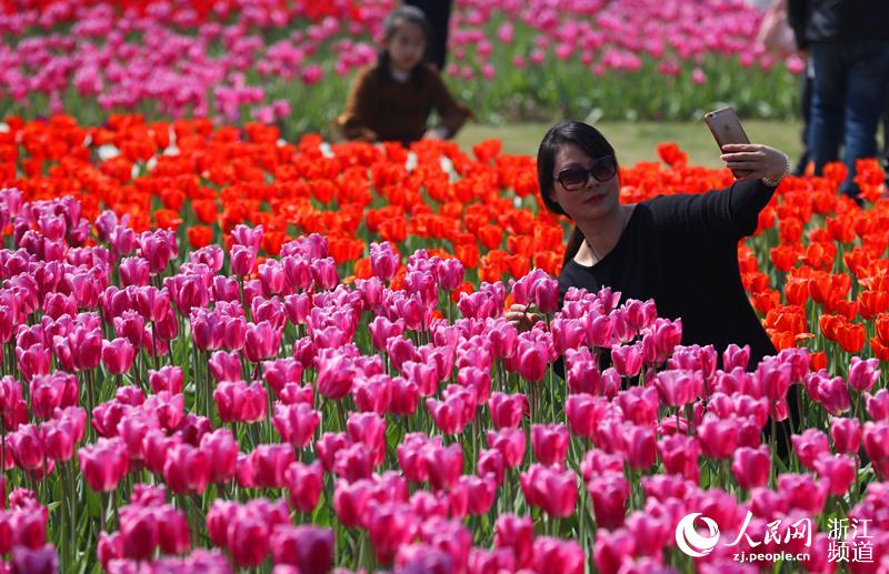 満開のチューリップに大勢の観光客　寧波