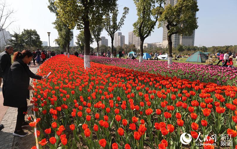 満開のチューリップに大勢の観光客　寧波