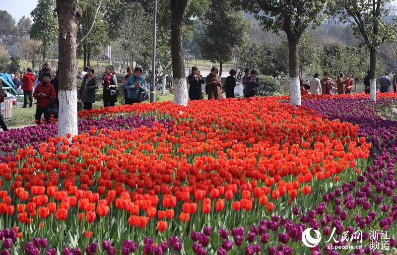 満開(kāi)のチューリップに大勢(shì)の観光客　寧波