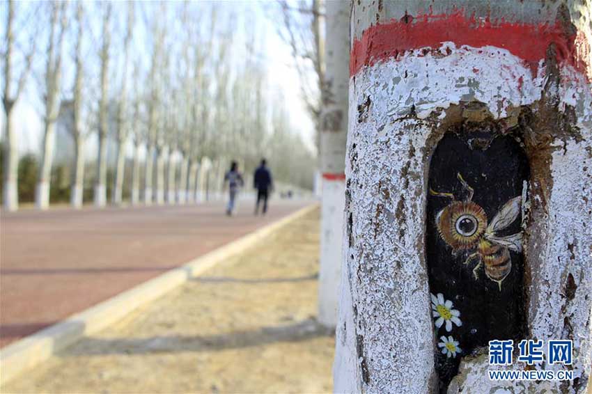 公園に出現(xiàn)した生き生きとした描寫の「樹洞アート」　寧夏