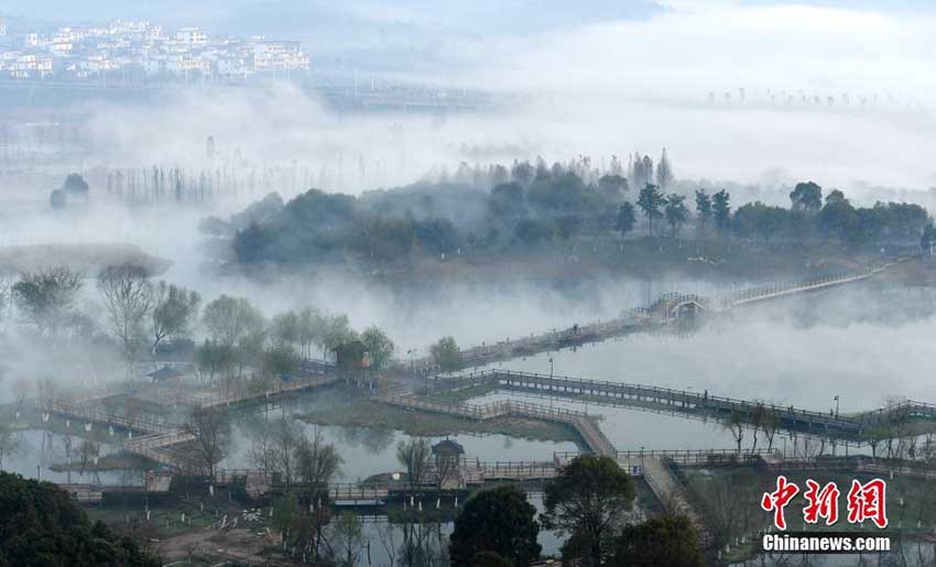 朝靄に包まれた幻想的な美しい風景を見せる濕地公園　江西省