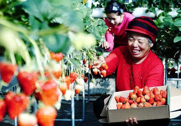 中國の6割の貧困県でECによる貧困者支援を?qū)g施