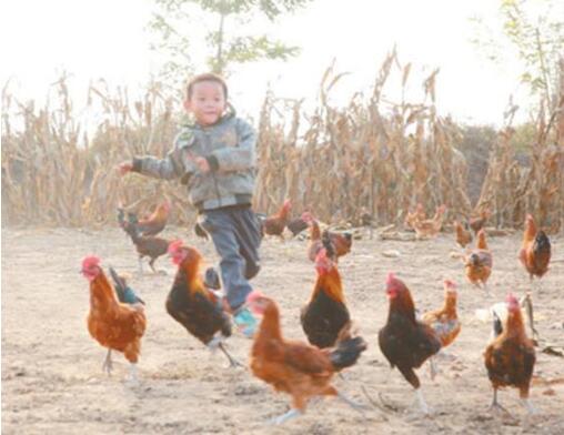 中國の6割の貧困県でECによる貧困者支援を?qū)g施