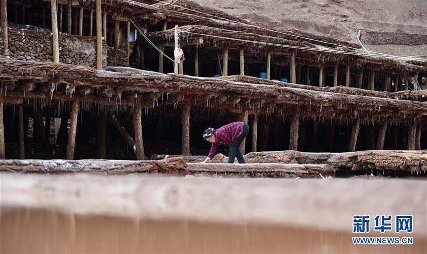 唐代から続く天日干しの塩作り　西蔵自治區(qū)の歴史ある塩田