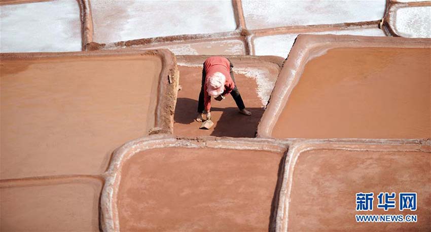 唐代から続く天日干しの塩作り　西蔵自治區(qū)の歴史ある塩田