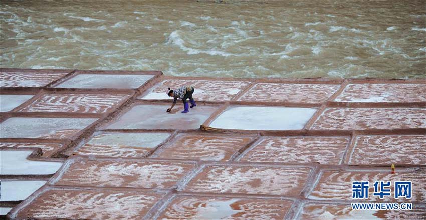 唐代から続く天日干しの塩作り　西蔵自治區(qū)の歴史ある塩田