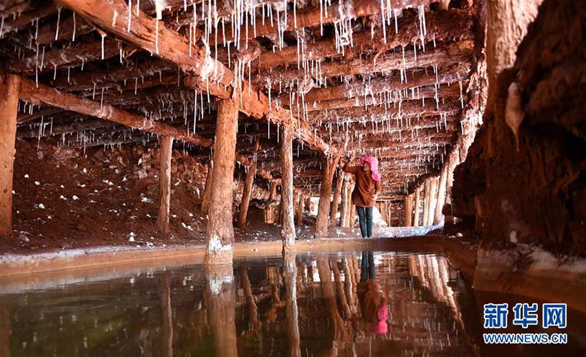 唐代から続く天日干しの塩作り　西蔵自治區(qū)の歴史ある塩田