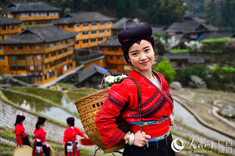色鮮やかな花咲き誇る　広西壯族自治區(qū)小寨村の春の景色