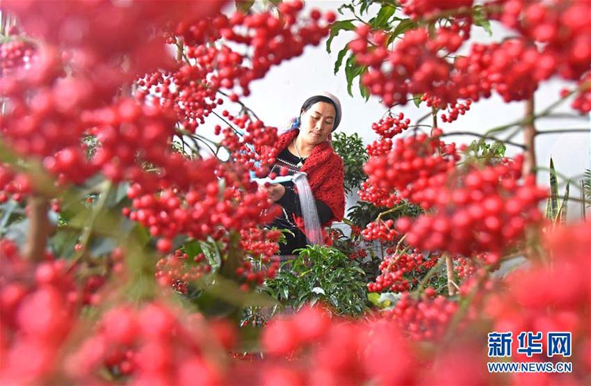 春到來、忙しさ増す農(nóng)作業(yè)