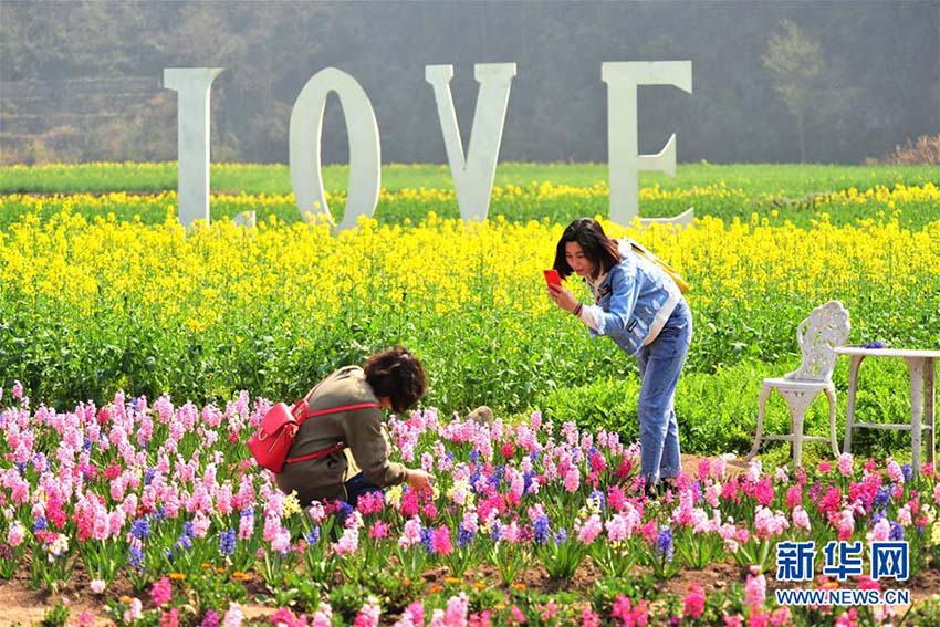 中國各地でぽかぽか陽気　春の景色を楽しむ観光客たち