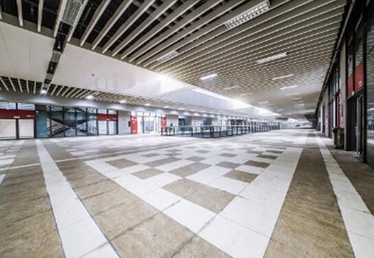 中國「中國國際輸入博覧會は各國の『大合唱』」