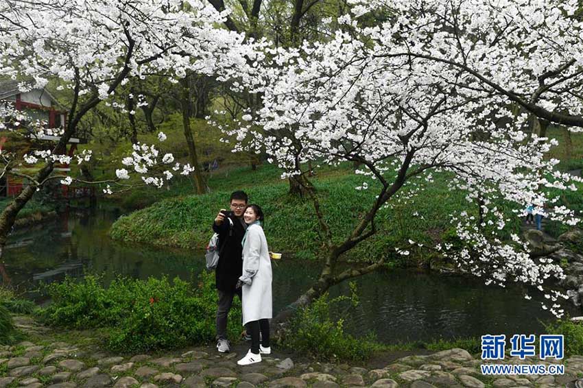 春爛漫！カラフルな花が咲き誇る西湖の湖畔　浙江省