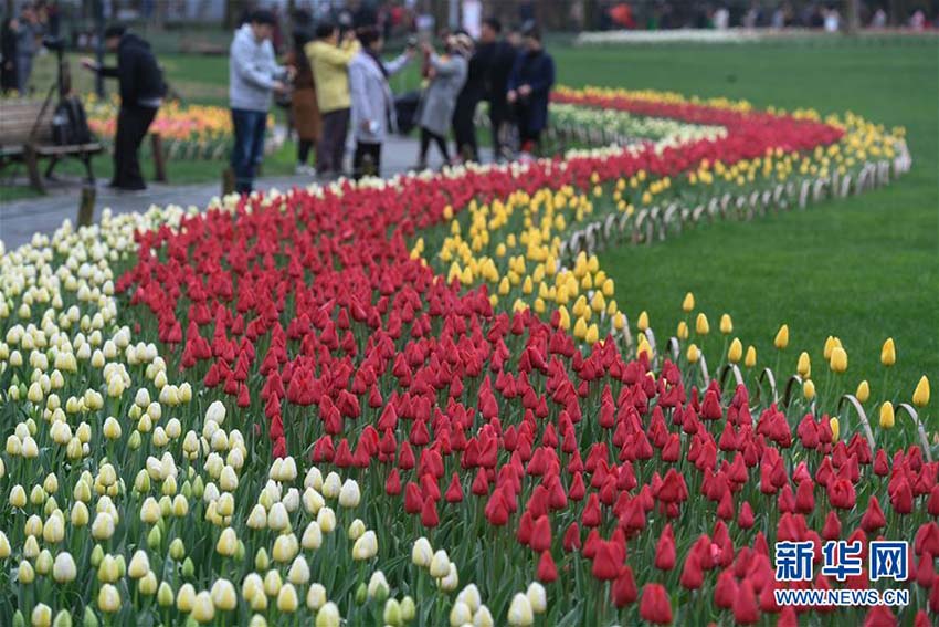 春爛漫！カラフルな花が咲き誇る西湖の湖畔　浙江省