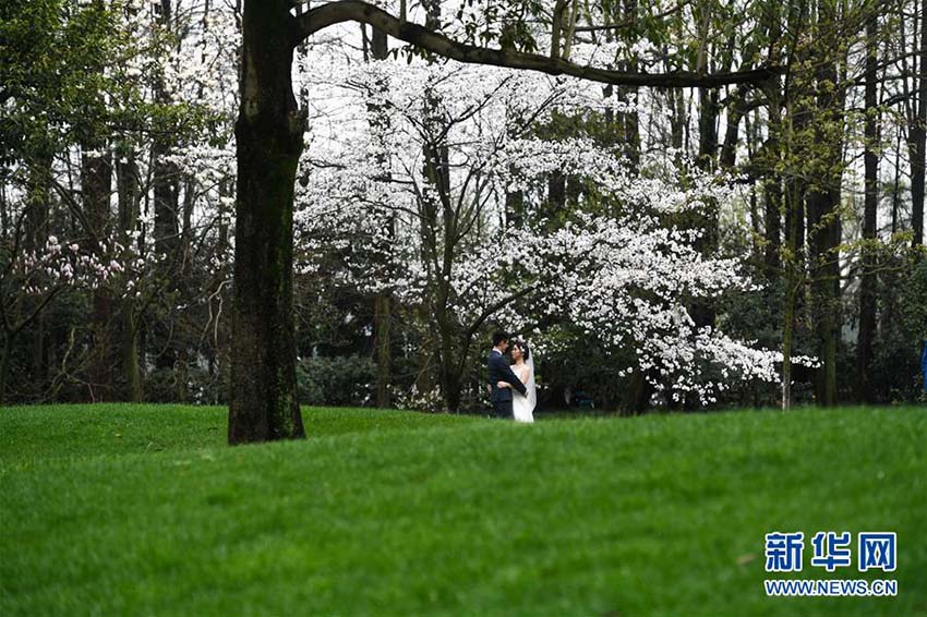 春爛漫！カラフルな花が咲き誇る西湖の湖畔　浙江省