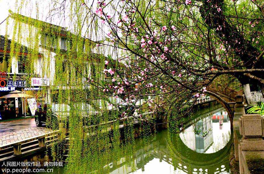 春の彩りに染まる蘇州市の街中　江蘇省