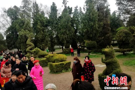 いろんな動(dòng)物をかたどった松の木アート　河南省の淮陽獨(dú)秀園