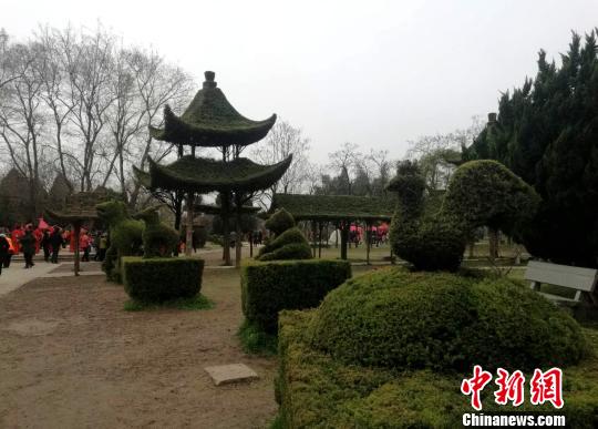 いろんな動(dòng)物をかたどった松の木アート　河南省の淮陽獨(dú)秀園