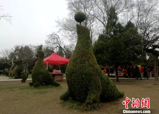 いろんな動物をかたどった松の木アート　河南省の淮陽獨(dú)秀園