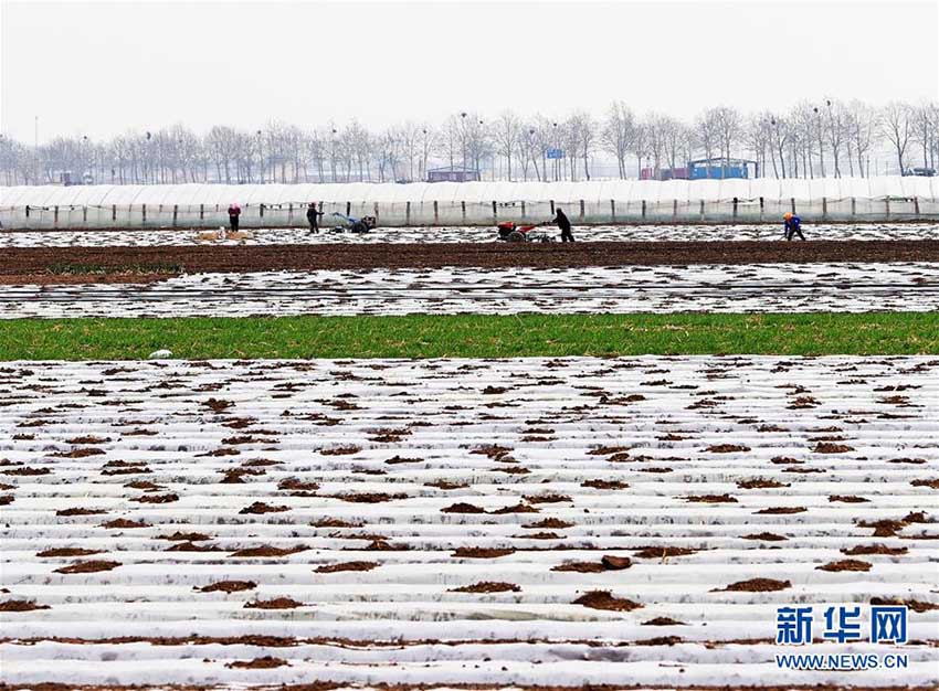 春分到來(lái)　春の繁忙期に突入する中國(guó)各地の農(nóng)家