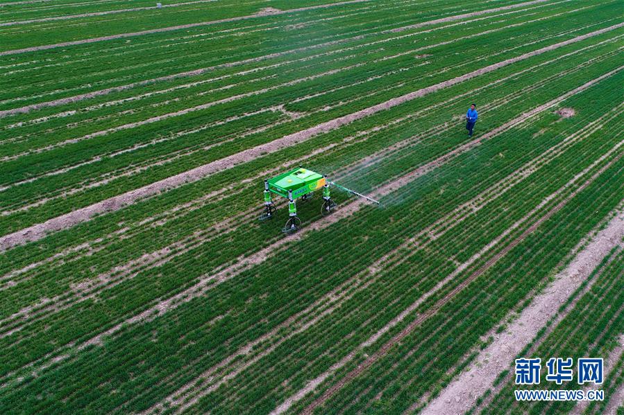 新型農(nóng)機が春の農(nóng)作業(yè)で大活躍