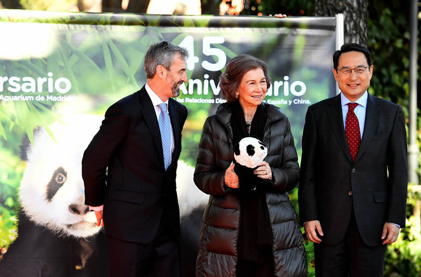 パンダのスペイン初上陸から40周年、マドリード動(dòng)物園とパンダの縁