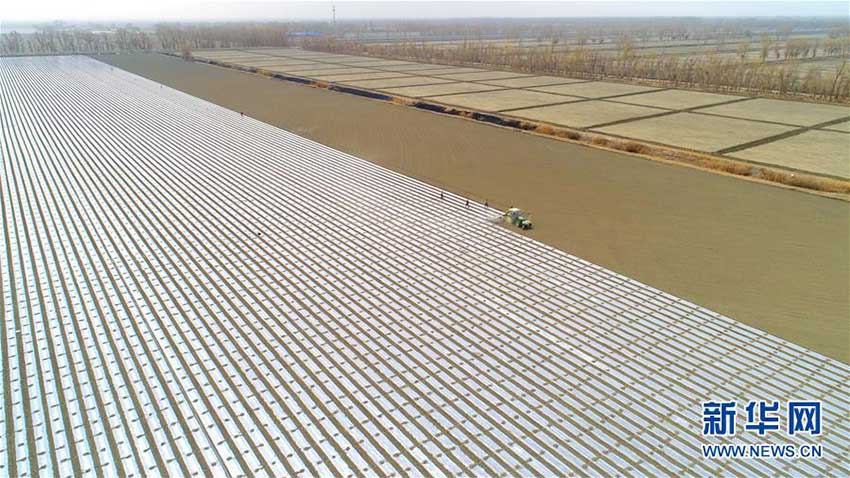 新疆塔里木地區(qū)、綿花の種まきシーズンに